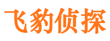 汉川侦探